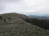  img_2152.jpg 