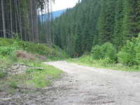  img_5772.jpg 