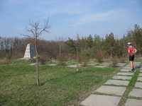  img_6516.jpg 