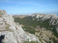  dsc08743.jpg 