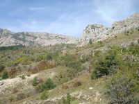  dsc08756.jpg 